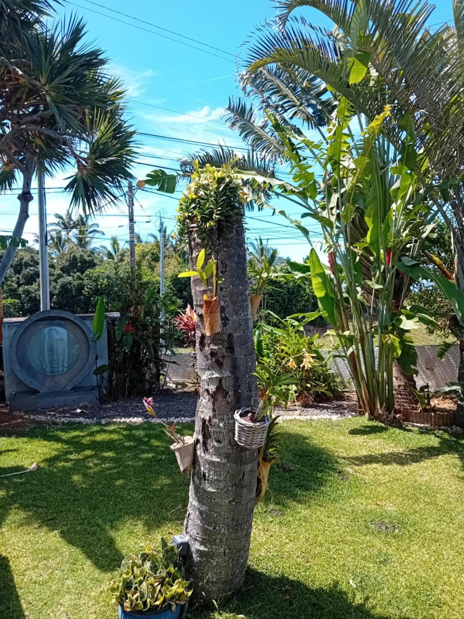 Villa Belza Et Spa (Adults Only) Saint Pierre Exterior foto